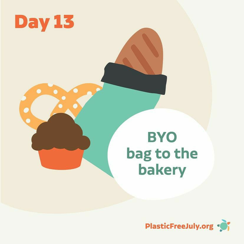 WePlant Foundation tweet media