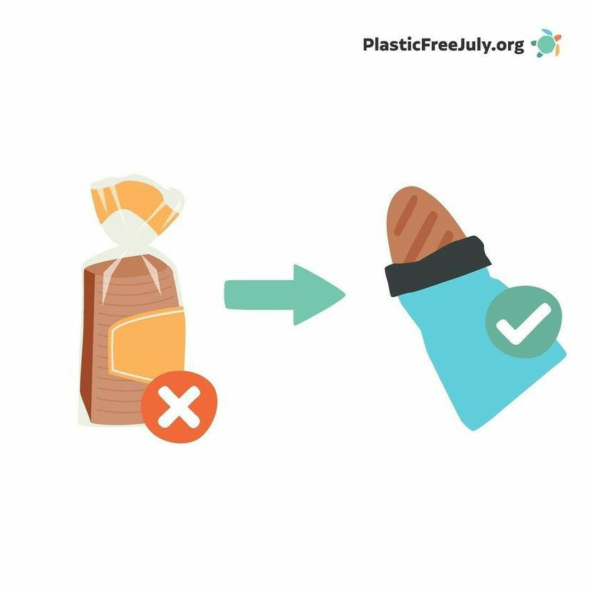 WePlant Foundation tweet media