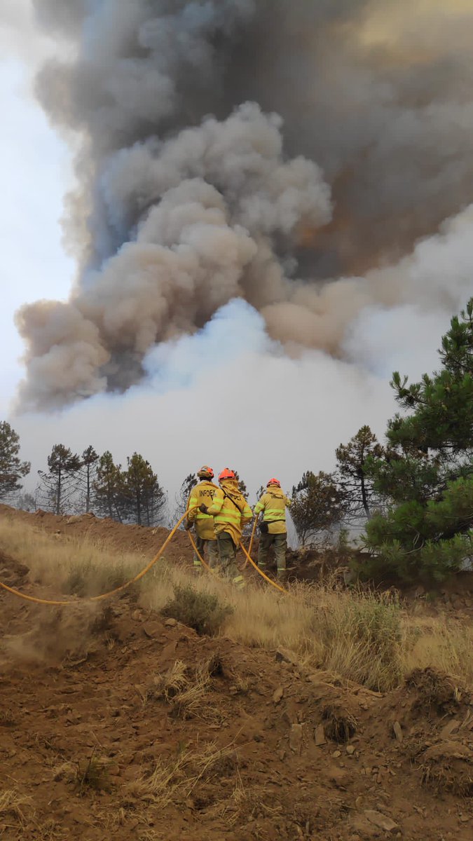 IsabellaMrp's tweet photo. #losamarillos son los que están en primera linea de fuego, solo hay que cruzarse con ellos en caminomorisco y ver sus caras y su ánimo. Los medios de comunicación intentan vendernos otra realidad. Adelante 💪🏻. @ceextremadura @informativost5 @A3Noticias @sextaNoticias https://t.co/Y03l1KMEQv