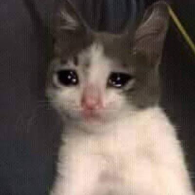 Tanya Rajhans tweet media