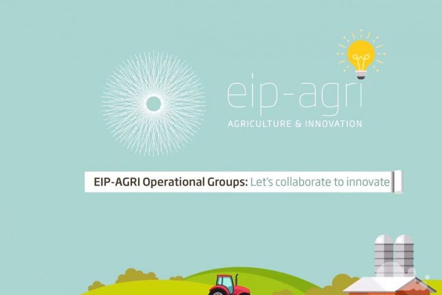 NetworkRosewood's tweet photo. 🌳💡The Agricultural European Innovation Partnership @EIPAGRI_SP has added the ROSEWOOD4.0 project outputs to its platform & made a list of 100 Best Practices and Innovations on #forestry available to the public. #H2020 Check it out on their website!👇https://t.co/x5WbcS5bCY https://t.co/N8wZ72rzT3