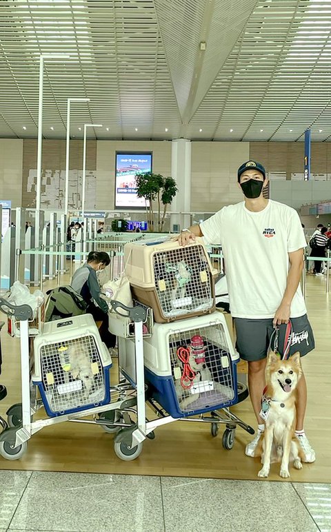 이기우 진쯔 멋있네!
코로나로 해외입양 확정되고도 못떠나고 대기중인 아이들 엄청 많은데 해외 여행가면서 이동봉사하는 문화가 더 커졌으면 좋겠어...
m.news.nate.com/view/20220713n…