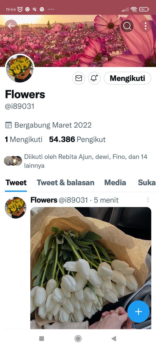 BELVA tweet media