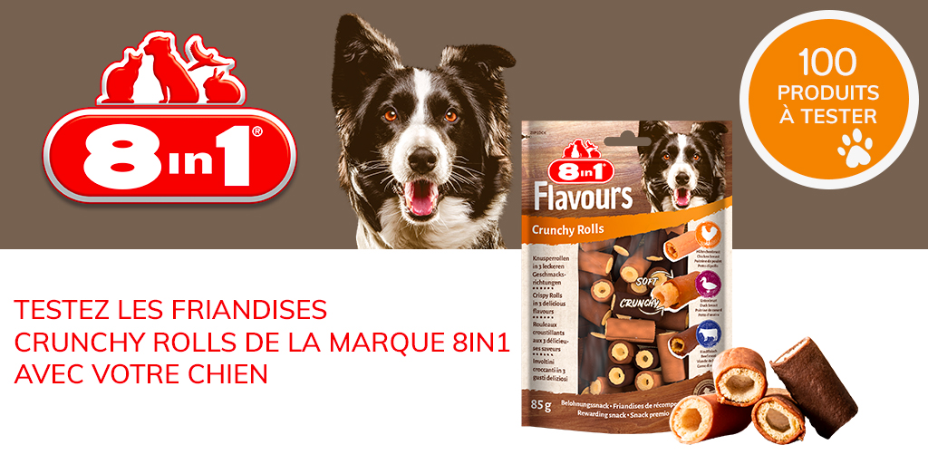 ConsoAnimo's tweet image. Vous souhaitez offrir de nouvelles friandises à votre chien ? 🐶

Découvrez dès à présent les friandises Crunchy Rolls ! 

100 lots sont à tester 😇

#consoanimo #testproduit #friandisechien

consoanimo.com/test/crunchy-r…