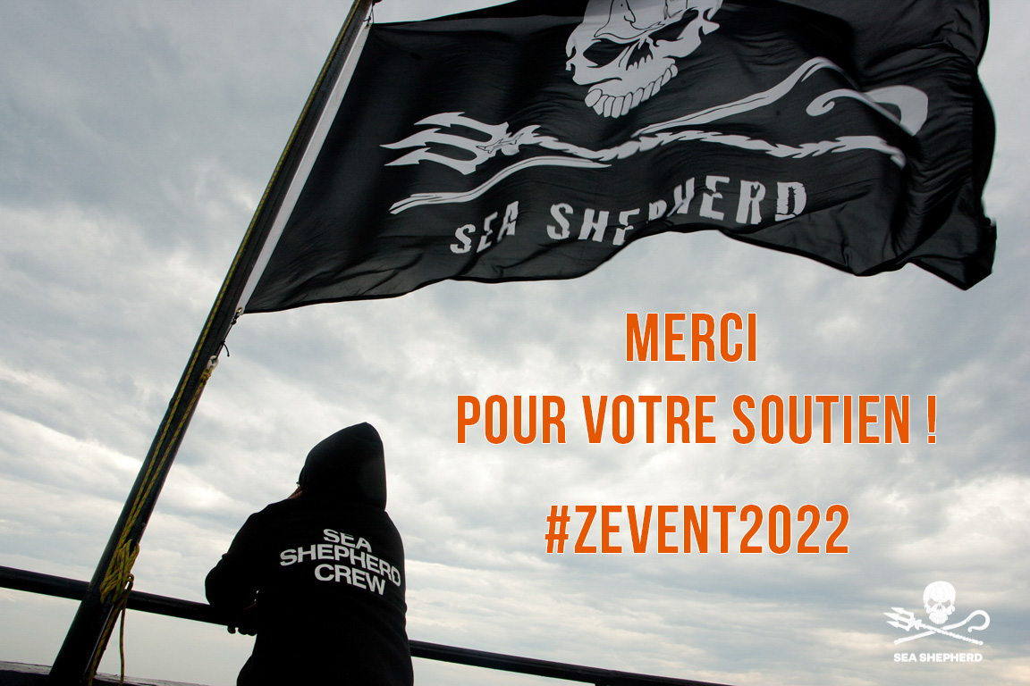 SeaShepherdFran's tweet image. Vous nous avez placé en tête des votes du #ZEVENT2022 !! Vous êtes le vent dans nos voiles. Vous nous aidez à naviguer en eaux troubles, là où personne d'autre ne va pour protéger ceux qui sont sans défense contre ceux qui sont sans scrupules. Mille mercis ! 
#nouveaubateau