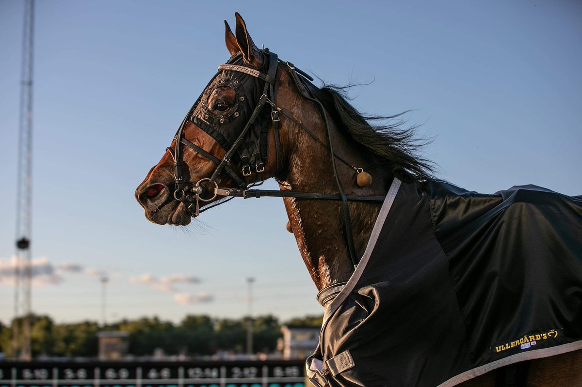 Chablis 🏆 Foto:<a href="/mianil1105/">Mia Nilsson</a>