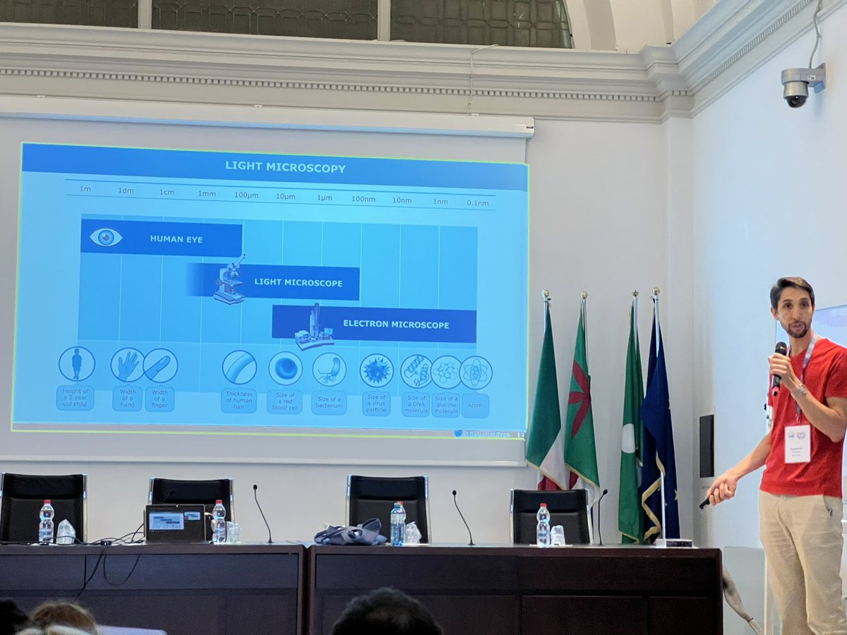 DiasproLab's tweet image. This afternoon we go on with an interesting talk on #MINFLUX from @BalzarottiFran! 

#InternationalSchoolOfPhysics
#MultimodalNanoscaleOpticalMicroscopy #microscopy 
@SIF_it @AD1959