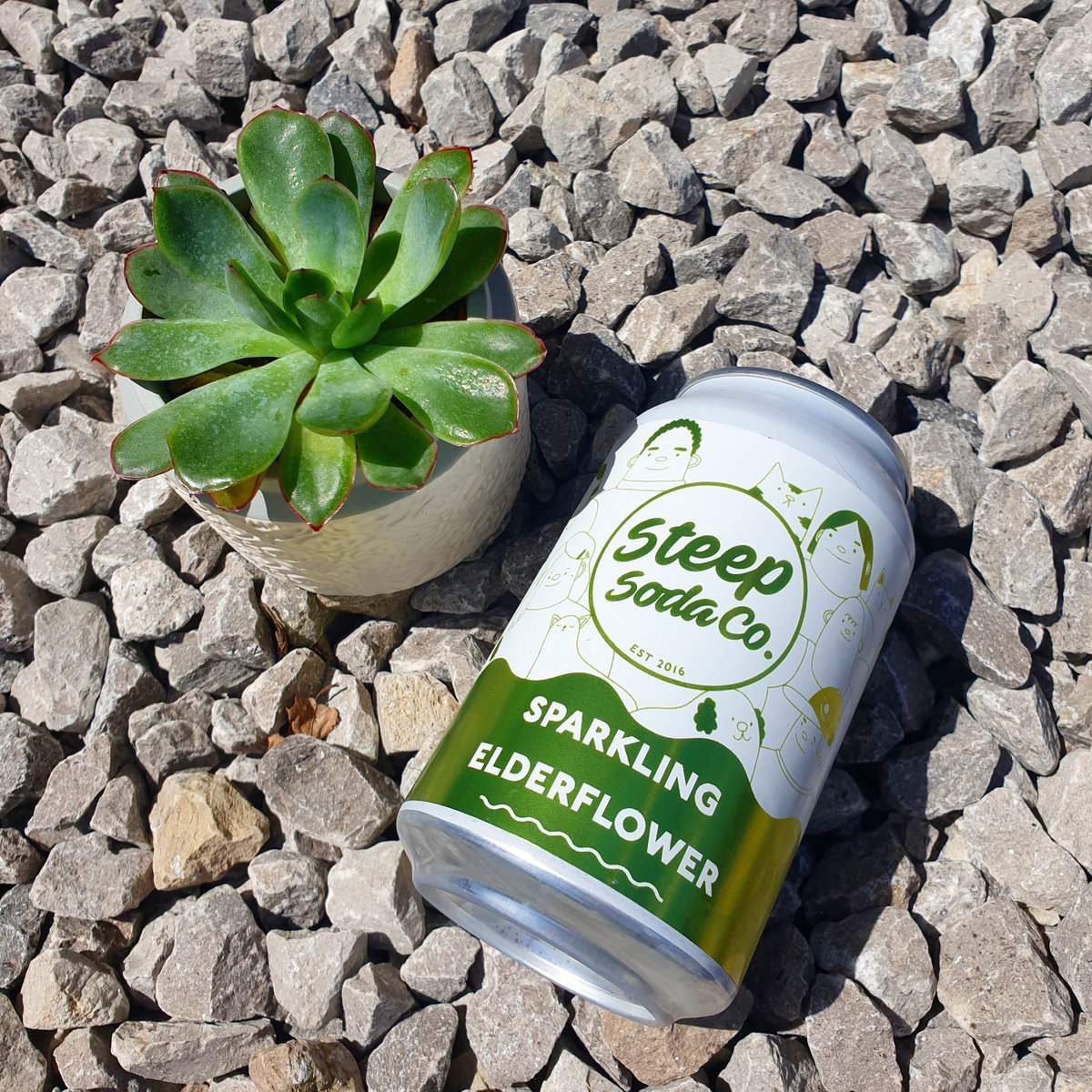 Contact Bar and Kitchen (@contactbarkitch) on Twitter photo LIMITED EDITION <a href="/SteepSodaCo/">Steep Soda Co.</a> ooooeeeeee 🌾🌿🌼 Sparkling elderflower, ice cold to quench that thirst 🌞 LIMITED EDITION <a href="/SteepSodaCo/">Steep Soda Co.</a> ooooeeeeee 🌾🌿🌼 Sparkling elderflower, ice cold to quench that thirst 🌞