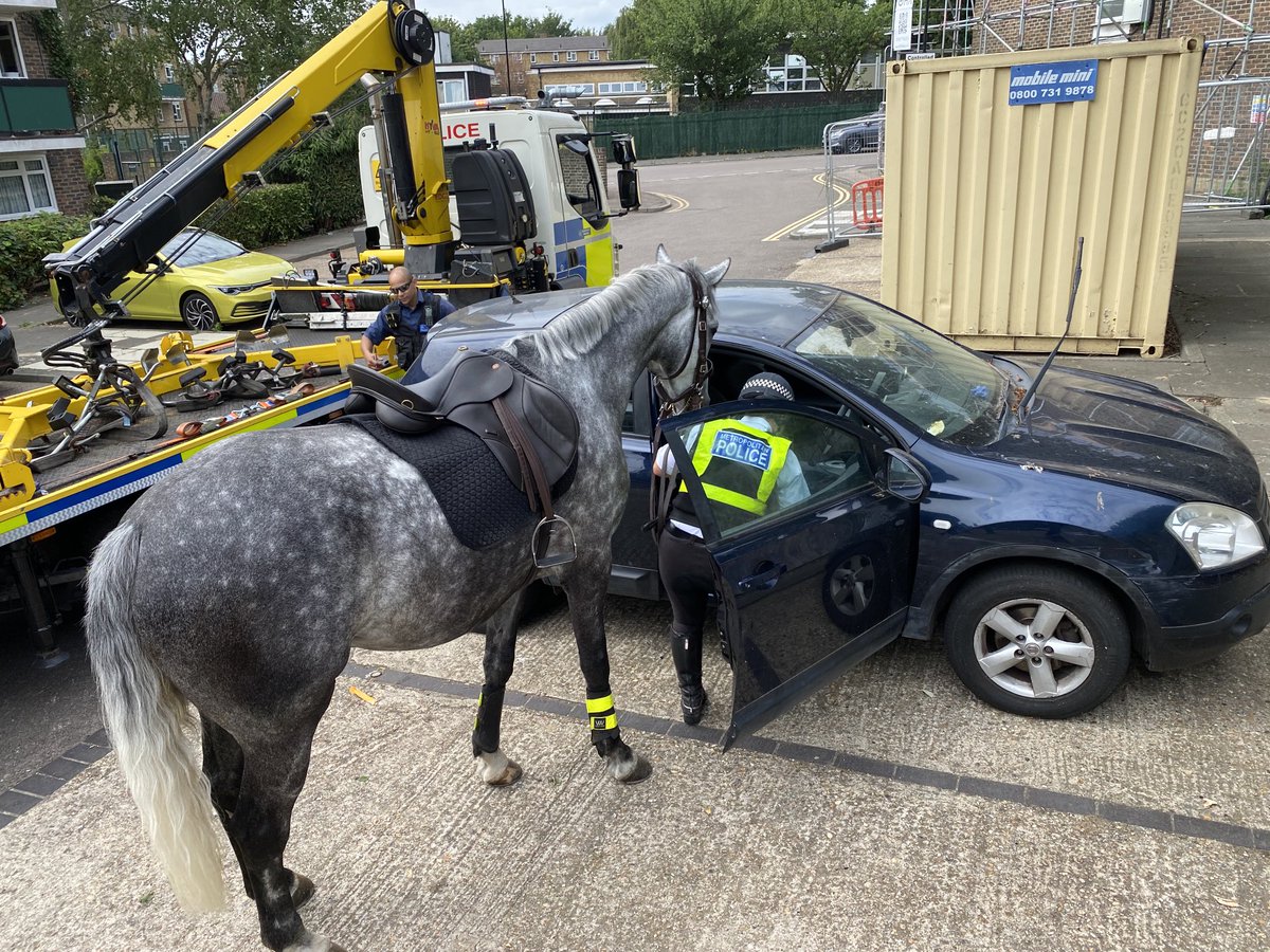 MetTaskforce's tweet photo. Newly signed off Police Horse Ypres is always keen to help his rider. Today assisting with searching a stolen vehicle that had been found abandoned on patrol. 

Vehicle now off to the police pound. https://t.co/akMror7FHJ
