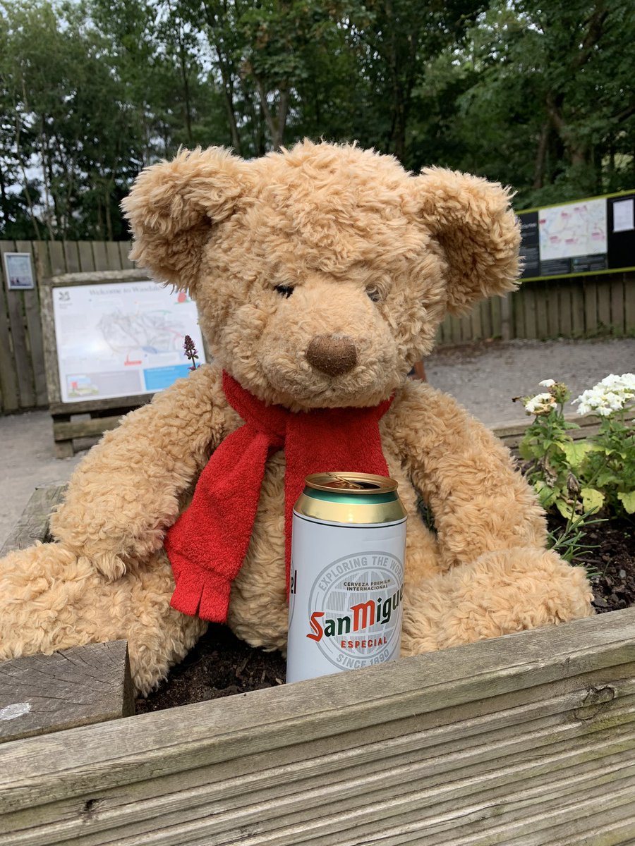 Daryl Heaselgrave tweet media