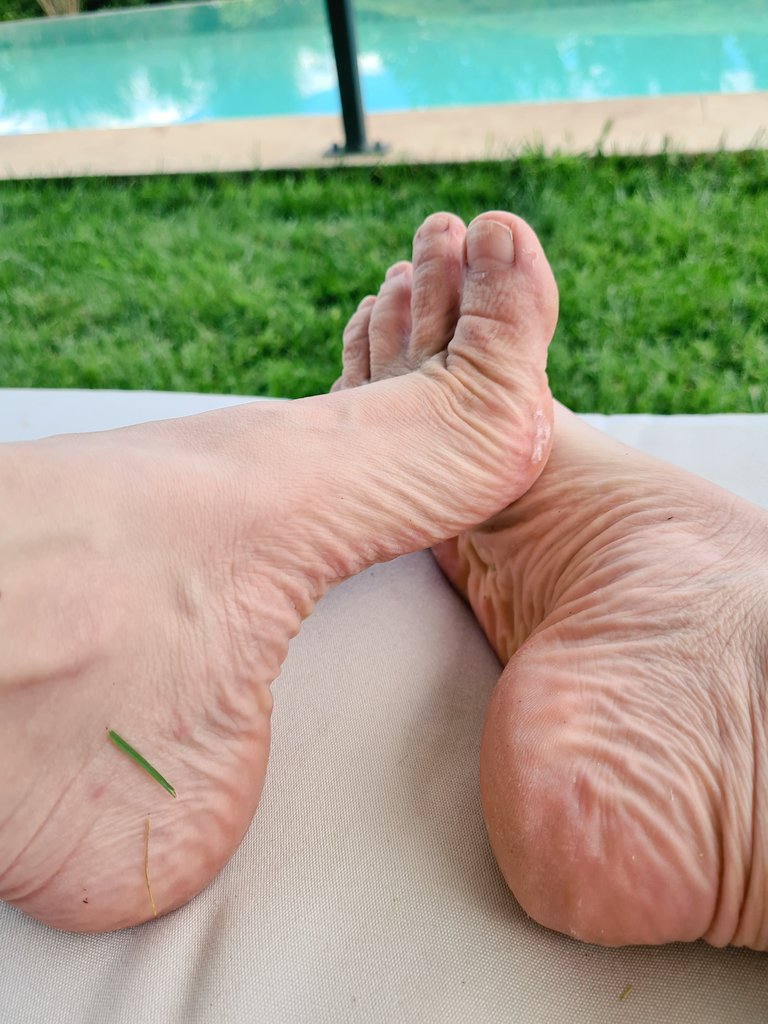 solekinks's tweet photo. @RTyourFeet Very wrinkley and in need of a pedi. https://t.co/I70Ff9jk19