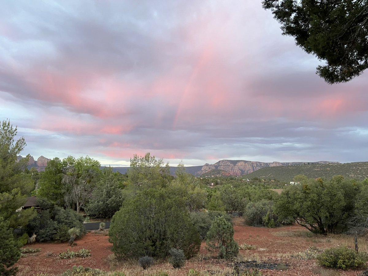 Leigh Ann Roe, NBCT tweet media