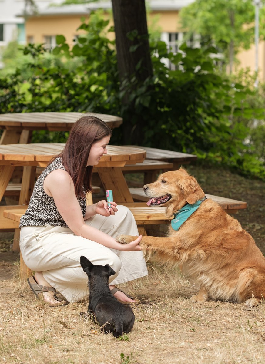 SLUBdresden's tweet photo. Lernpause mit Pfötchen, innovativer #Service zur #Prüfungszeit @SLUBdresden! Streicheln, spielen oder einfach nur beobachten: Studierende können nun Pause mit dafür ausgebildeten #Hunden buchen.🧍‍♀️Forschungsgruppe Mensch-Tier-Beziehung @tudresden_de🐕 https://t.co/CtdcCMjxLb // ar https://t.co/JOcXJOxxgb