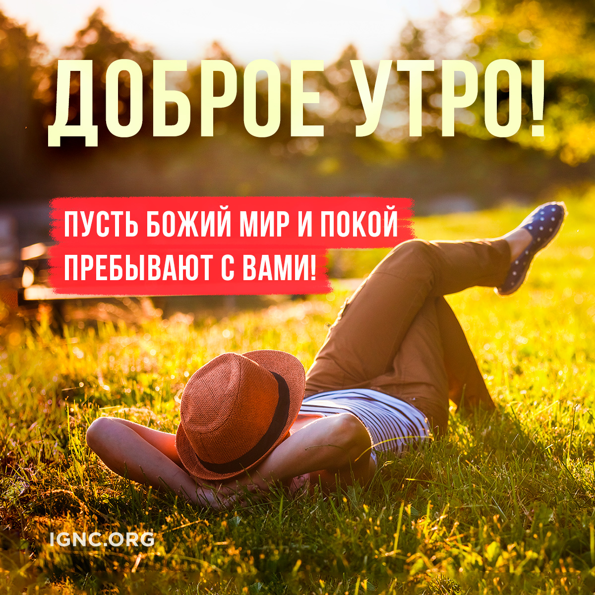 Доброе утро картинки летние