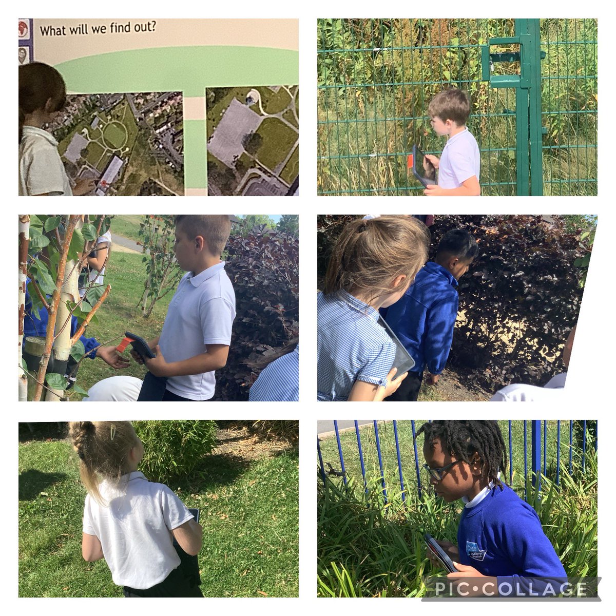 OABroadoak's tweet photo. #2BW this afternoon started with pointing out our position on a map and then discussing where on our school grounds we might find habitats. We then went out and took some wonderful photos of school habitats.
#habitats #science #geography https://t.co/X55Qe0J2OX