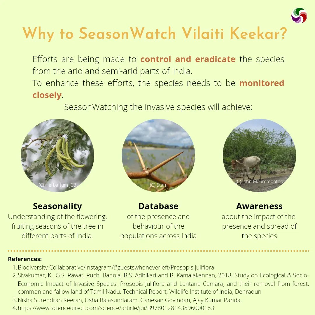 SeasonWatch tweet media