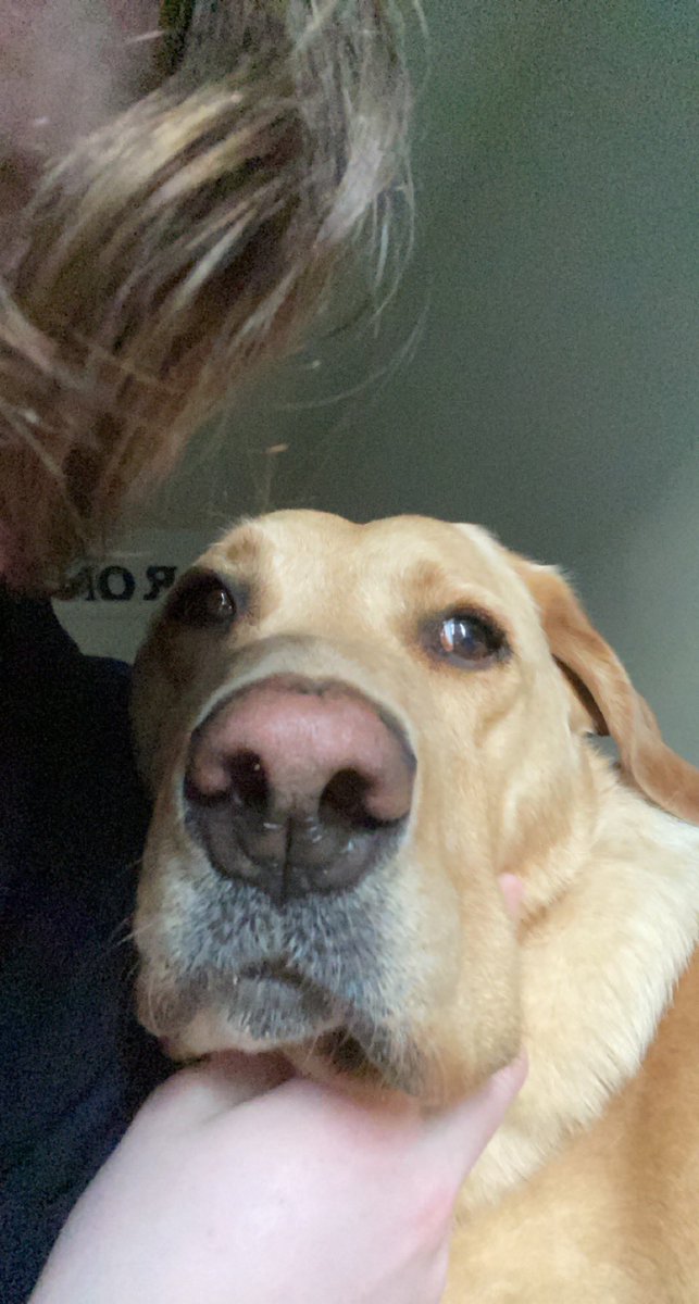 aaron uzilondon tweet media