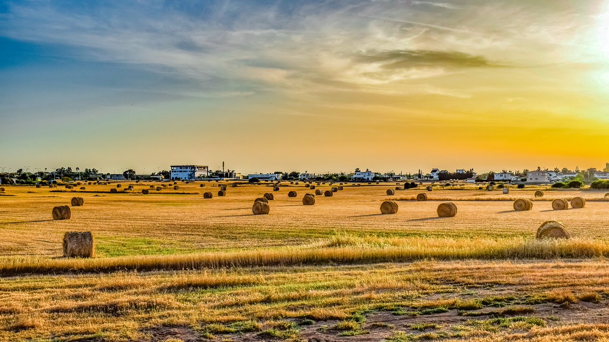 cnis_fr's tweet image. La France métropolitaine compte près de 5 millions d’hectares de sols artificialisés (9,1 % de sa surface).

Nous venons d&apos;étudier les outils permettant ces mesures et les conséquences à en tirer.

Compte rendu 👉 bit.ly/3ywHXcT

@PPhCombes
@lory_pascal
@TobiasLanganke