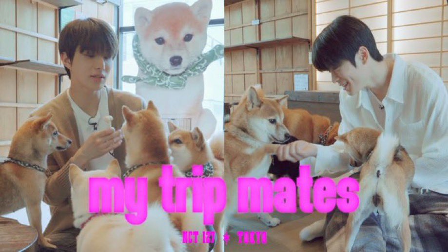 젱재부흥소 (@jengjaelo) on Twitter photo 