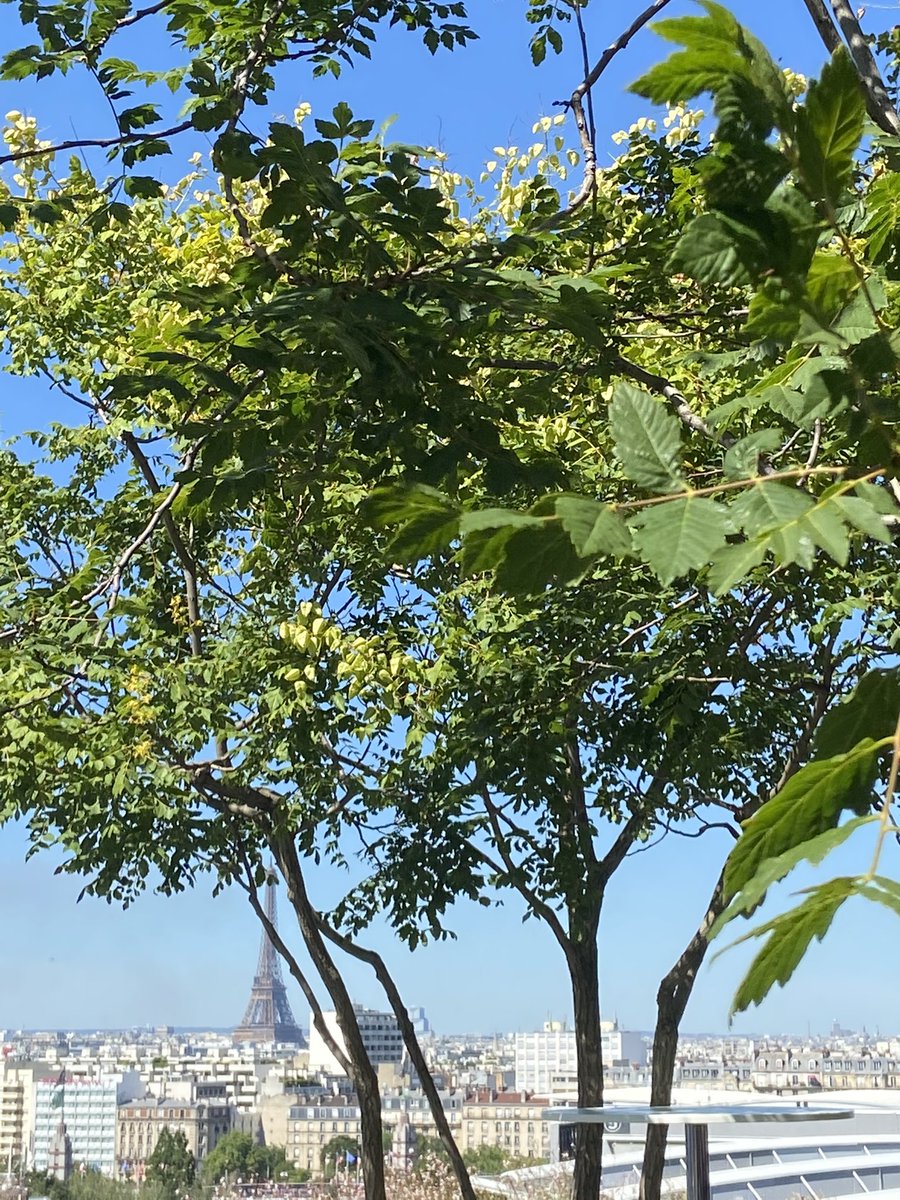 .<a href="/FENSorg/">FENS</a> forum 2022 complete! What a fantastic time myself and <a href="/anniecoulsonsci/">Annie Coulson</a> had. Here are a few photos from our time at the conference 🤩 The rooftop was a great place to take a moment away from the busy exhibition hall! #MyFENS2022 <a href="/MyBioTechniques/">BioTechniques</a> 🧠🧬🔬