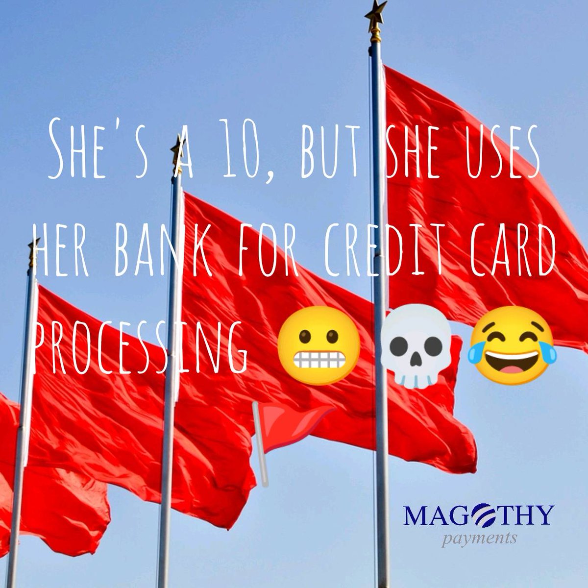 Magothy Payments, Inc. tweet media