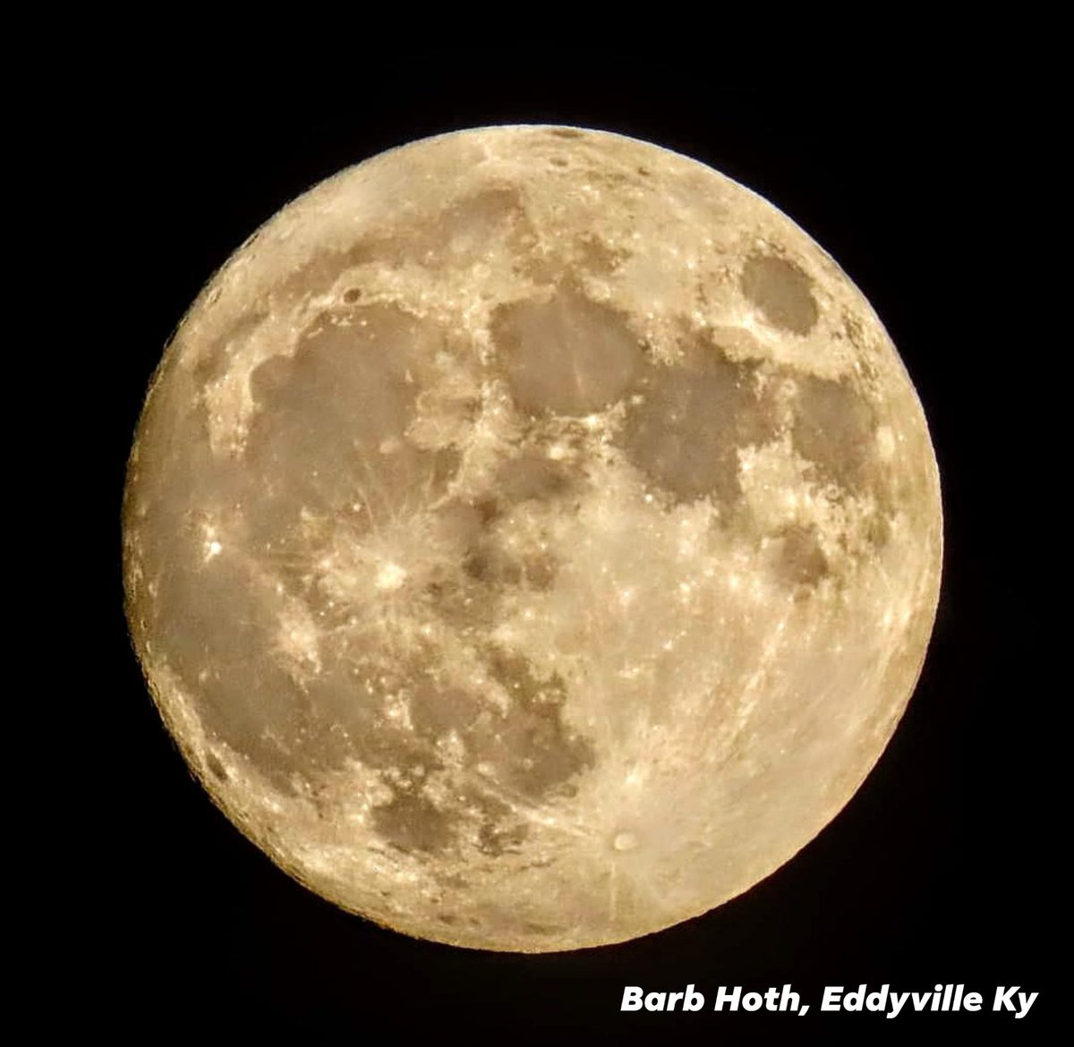 WPSDLocal6's tweet photo. Did anyone else catch that absolutely GORGEOUS full moon this morning?! It was so big and bright!
#weatherwindow #viewersubmissions #photography #fullmoon https://t.co/e9GJJHd0K4