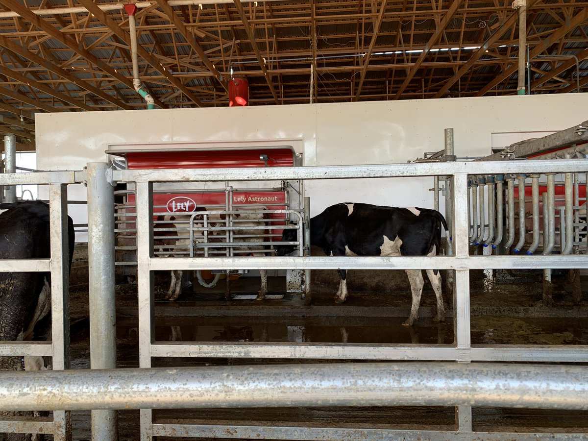 NDSU LEM tweet media