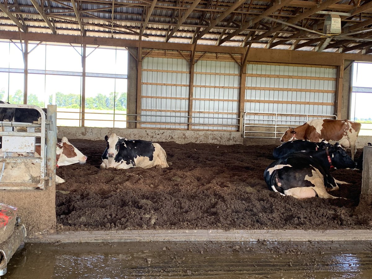 NDSU LEM tweet media