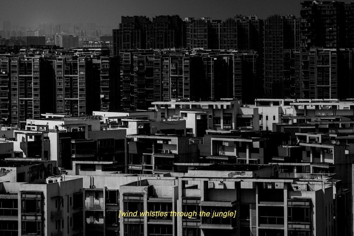 Felix Vollmann tweet media