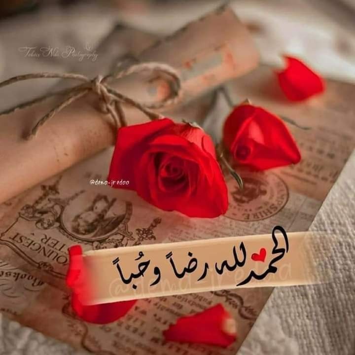 HananAdam2011's tweet photo. #صورة_ملف_شخصي_جديدة https://t.co/ugpBMZCdLm