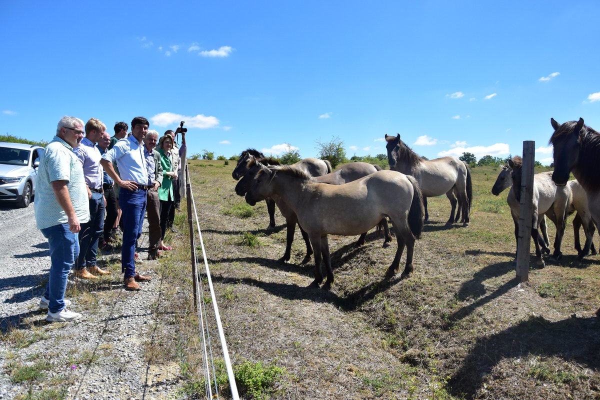 Anja Weisgerber tweet media