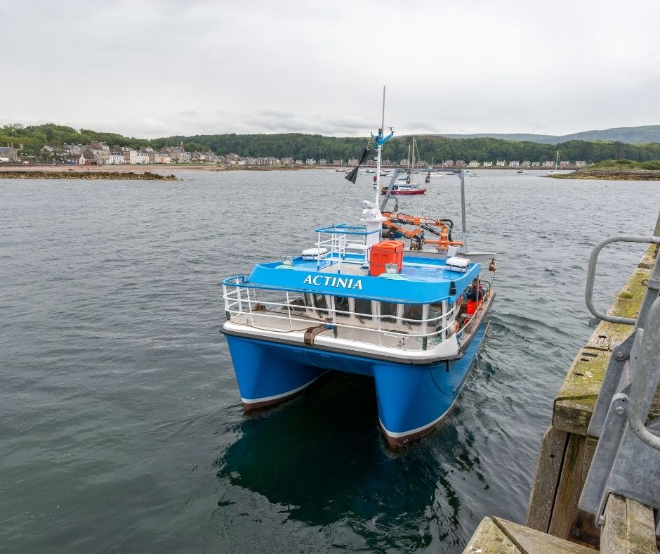 FSC Scotland tweet media