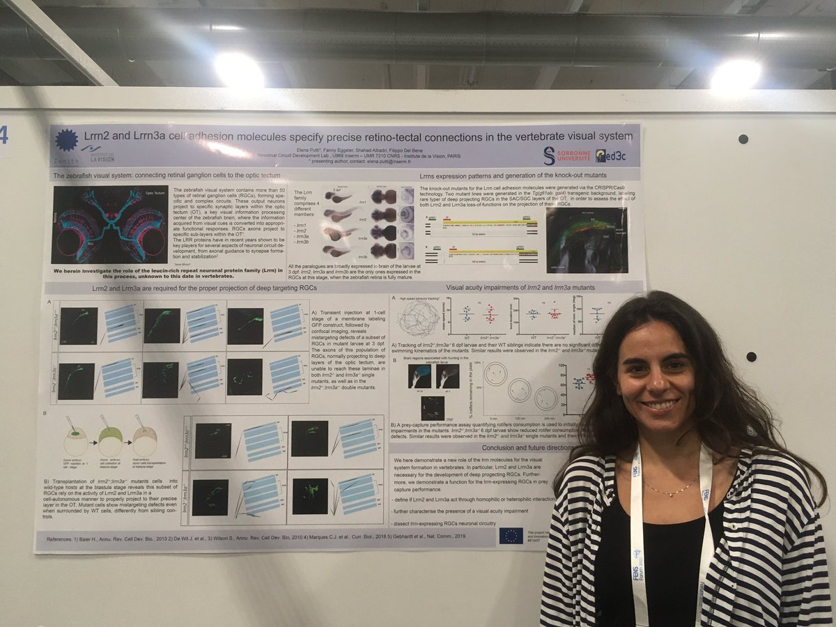 zenith_etn's tweet photo. Zenith’s last batch of posters at #FENS2022 from @ElenaPutti @tahnee_mac and Gautam were just 👌👌 https://t.co/QwUWa9kXJZ