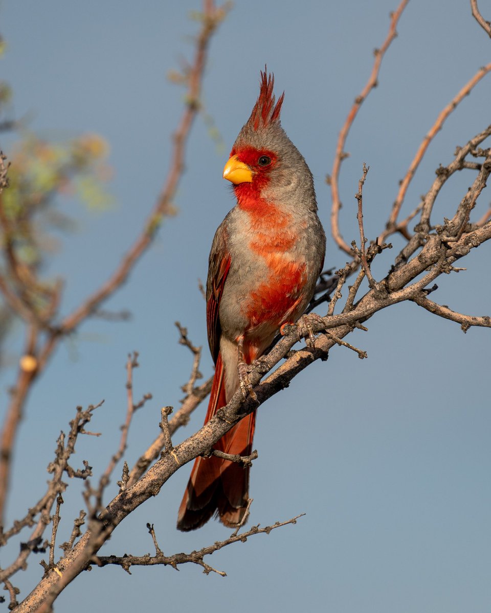 Mike Henry tweet media