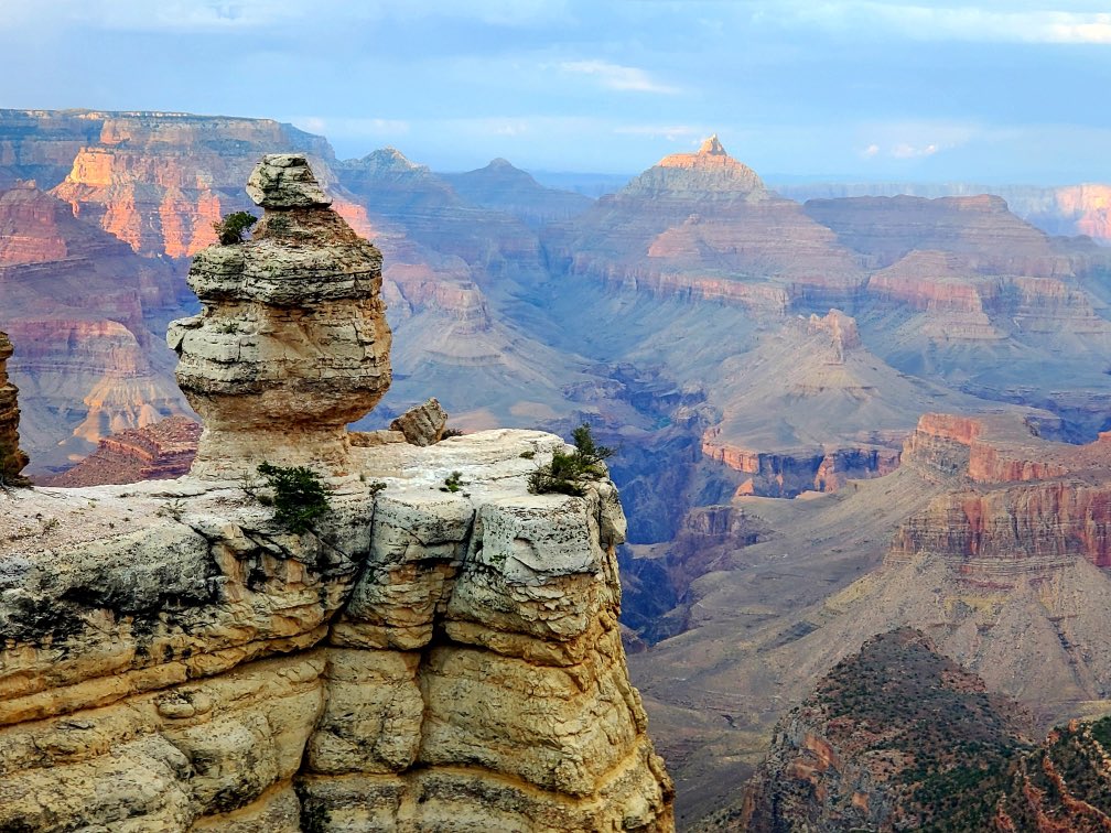 Leigh Ann Roe, NBCT tweet media