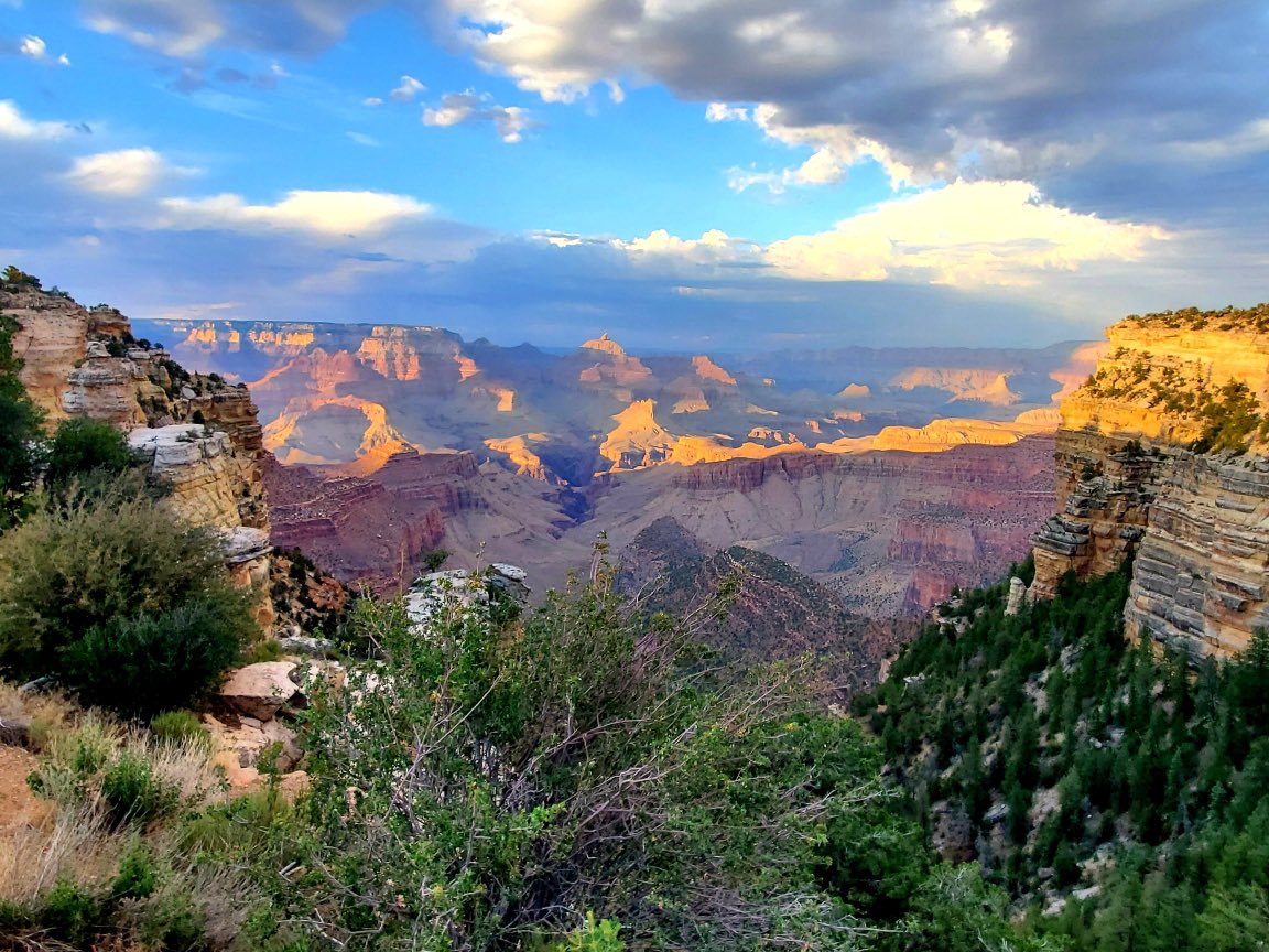 Leigh Ann Roe, NBCT tweet media