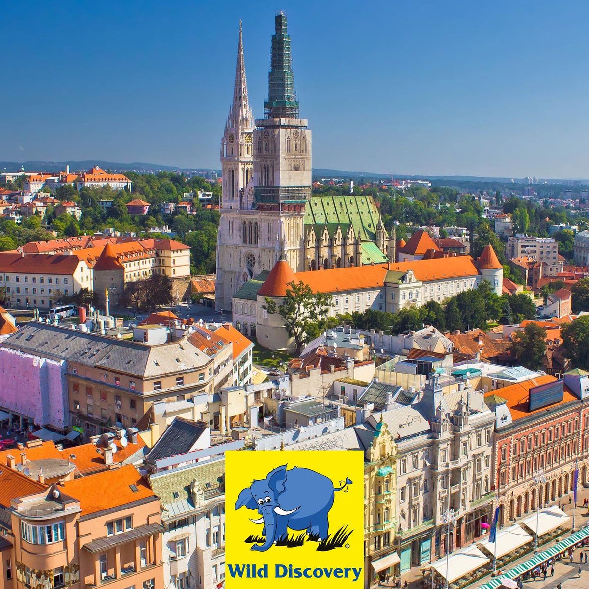 WildDiscoveryME's tweet photo. Croatia is a destination that combines tradition with a stunning backdrop of rich green forests, hillsides and crystal-clear waters.

For a unique European experience with Wild Discovery, speak with one of our Destination Specialists on 01 56 56 46 .

#wilddiscovery #croatia https://t.co/EePiC46jG2