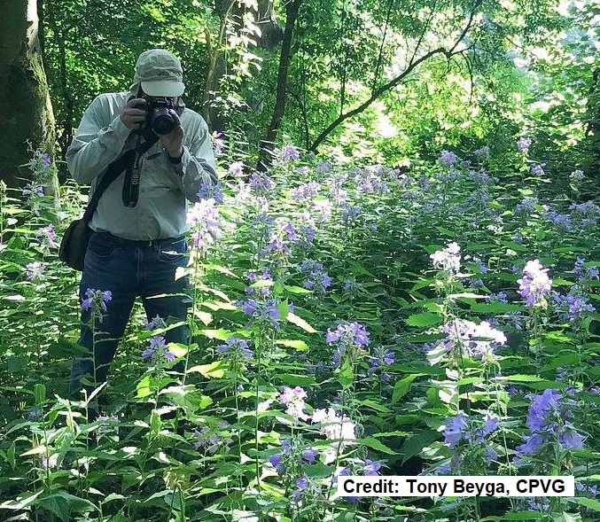 Hurry! Time is running out!!  Nominate your favourite #Wildlife recorders for #NBNawards22 before Sunday 17 July… #MakingDataWorkForNature #iwill4nature #nature  bit.ly/NBNawards22