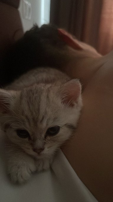 Under guard https://t.co/O7ZtYDizfm