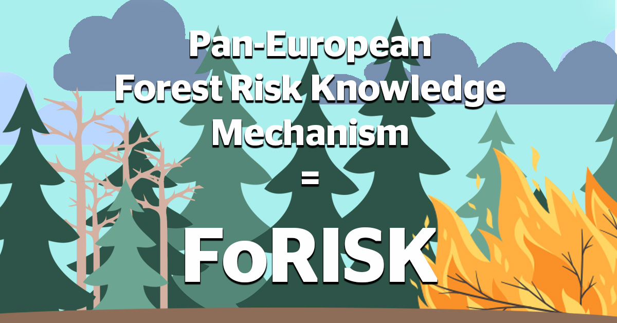 FORESTEUROPE's tweet photo. In preparation for the first phase of the FOREST EUROPE FoRISK, we will share some videos about disaster risk reduction, fire prevention, and preparedness. Stay tuned!
#barkbeetle #storm #forestrisk #drought #wildfire #prevention #preparedness #windthrow https://t.co/KQj5IhLkGX