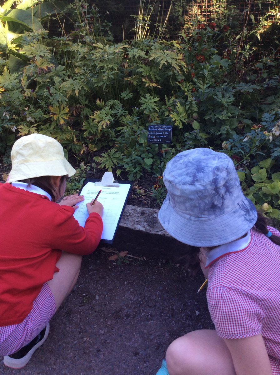 Year 3 had a brilliant day at Chatsworth! We spent our time exploring the gardens. Our first task was to investigate which flowers were the most popular with the local insects.We recorded the type of plant, the colour and kept a tally of how many insects visited it <a href="/stjs_staveley/">Saint Joseph's</a>
