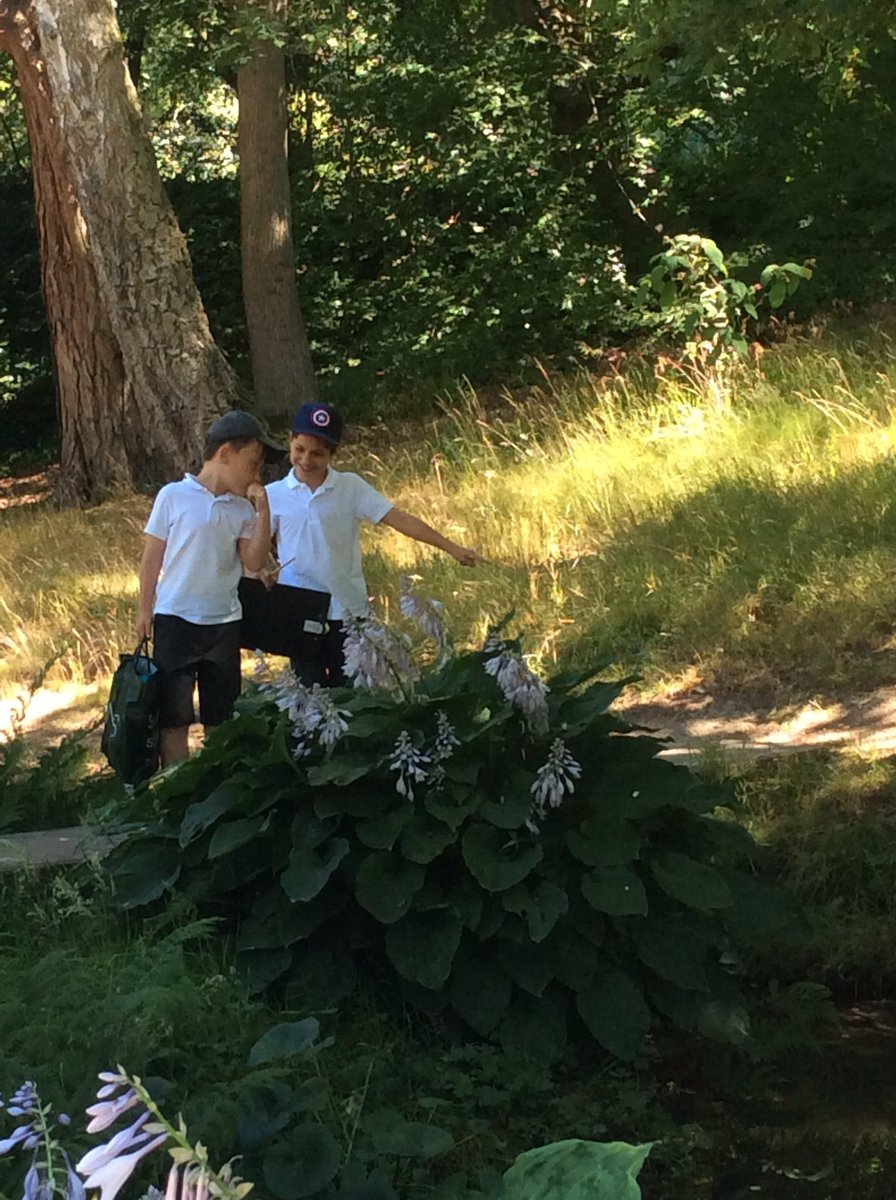 Year 3 had a brilliant day at Chatsworth! We spent our time exploring the gardens. Our second task was to investigate where the plants in the garden originated from and to use our knowledge of trade routes to decide how they had arrived at Chatsworth <a href="/stjs_staveley/">Saint Joseph's</a>