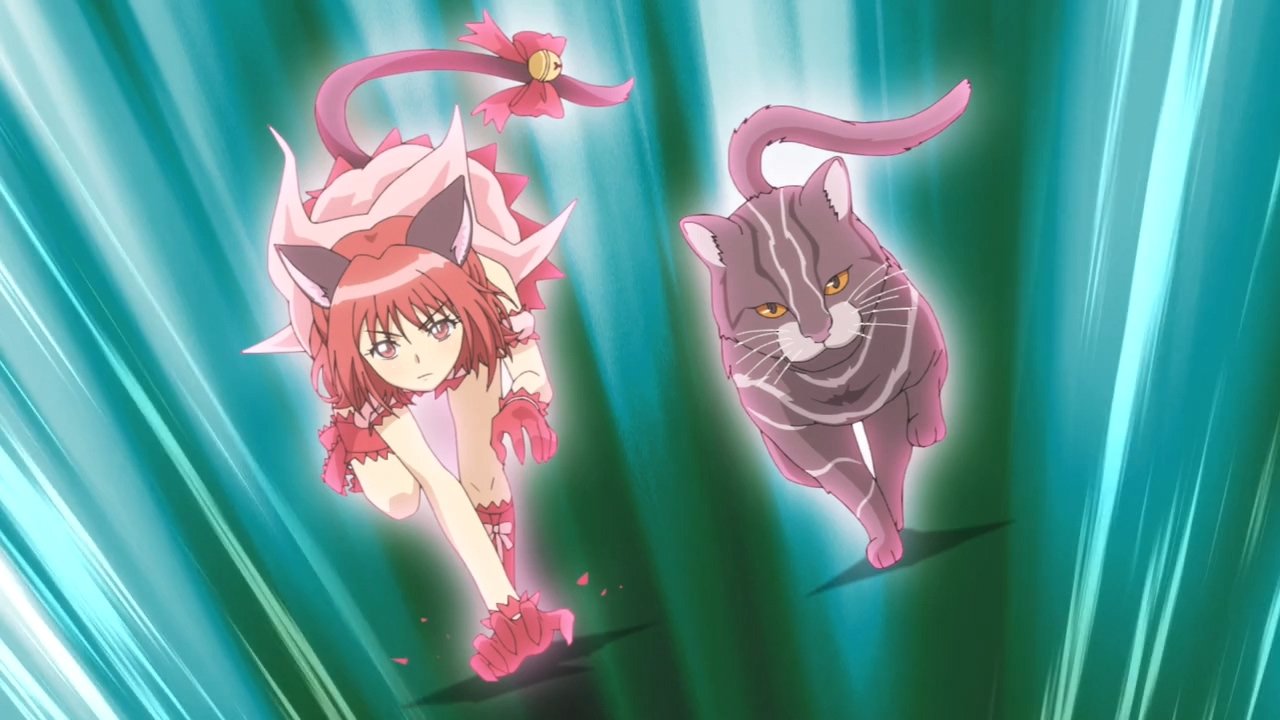 El Swaggu on X: Second episode of Tokyo Mew Mew New shows us that inside  you are two cats. One is gay, the other has yet to discover they're gay.  You are