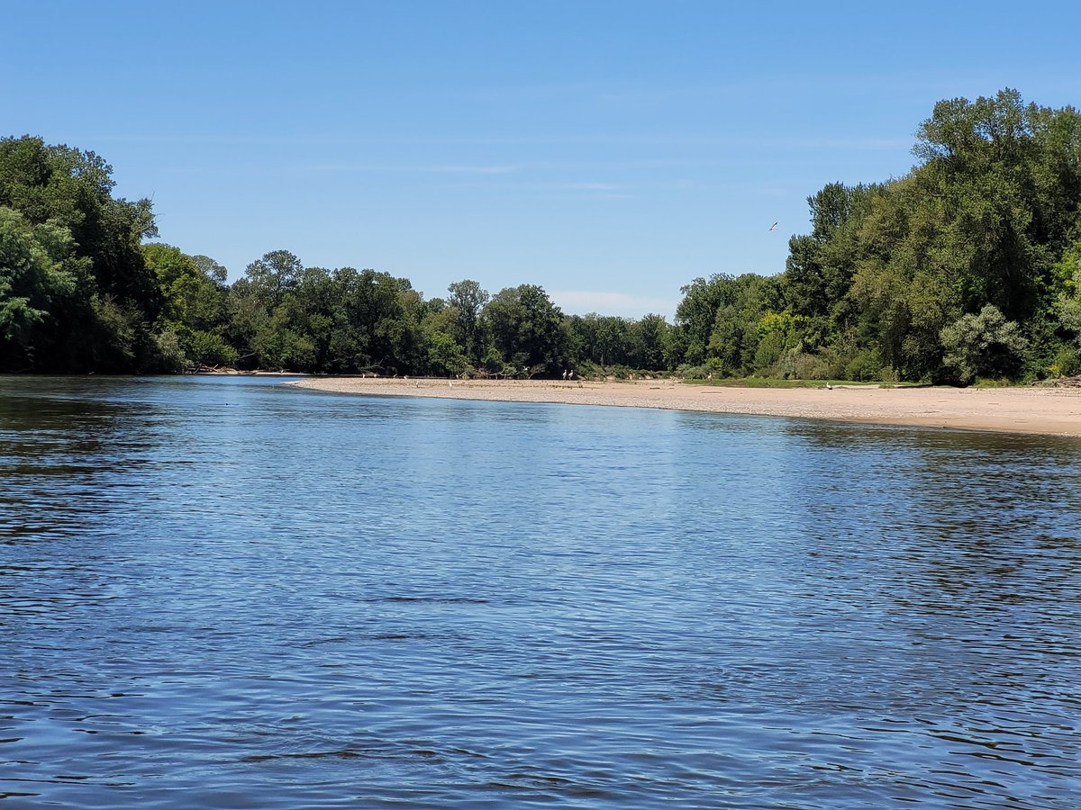 Met de kano op de Allier. Reigers, ooievaars, plevieren, aalscholvers, ijsvogels, oeverzwaluwen en veel meer. Ook zelf een duik genomen.