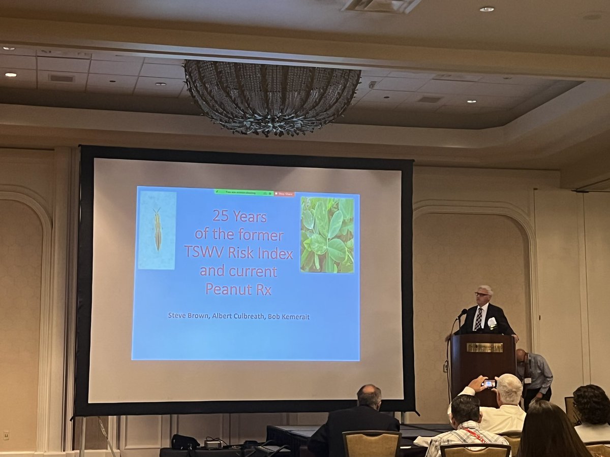 PrecAgEngineer's tweet photo. A great overview of research and extension efforts over the last 25 years on addressing the Tomato Spotted Wilt Virus in peanut by Drs. Steve Brown, Albert Culbreath and Bob Kemerait this morning in the general session of the 54th Annual APRES meeting!! #APRES22 #peanut #TSWV https://t.co/VHWWjwXQdH