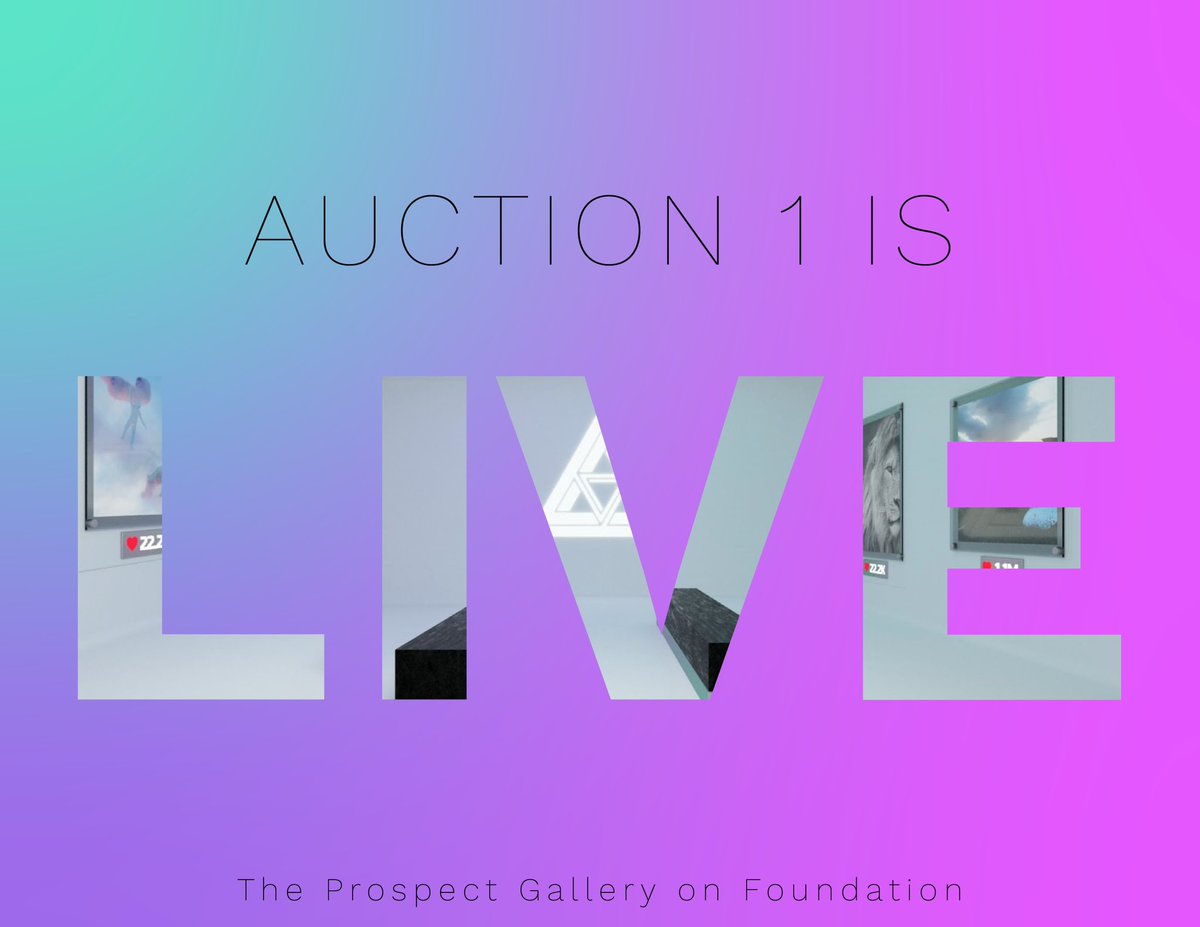 The Prospect Gallery tweet media
