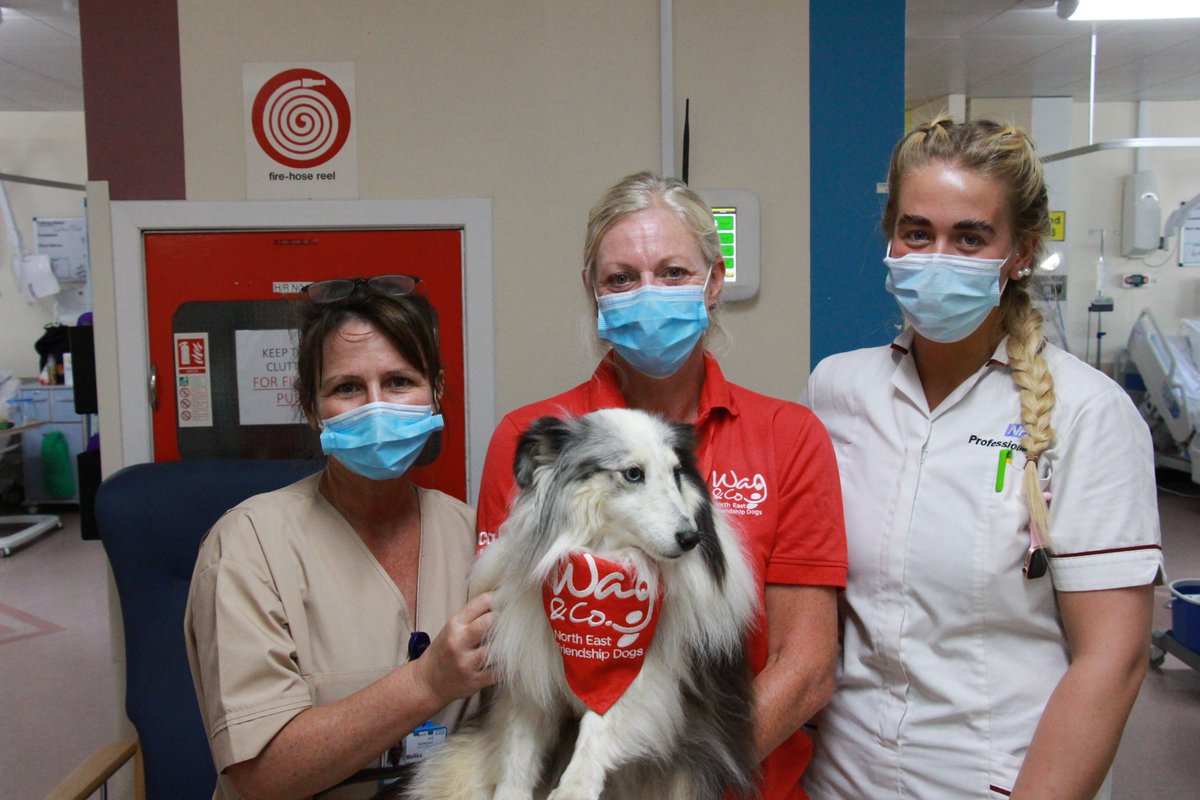 North Tees and Hartlepool NHS Foundation Trust tweet media