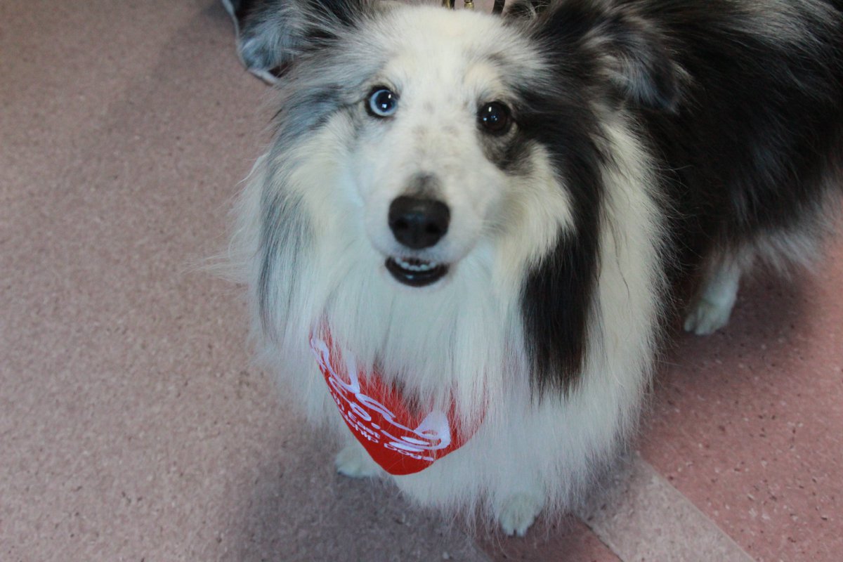 North Tees and Hartlepool NHS Foundation Trust tweet media