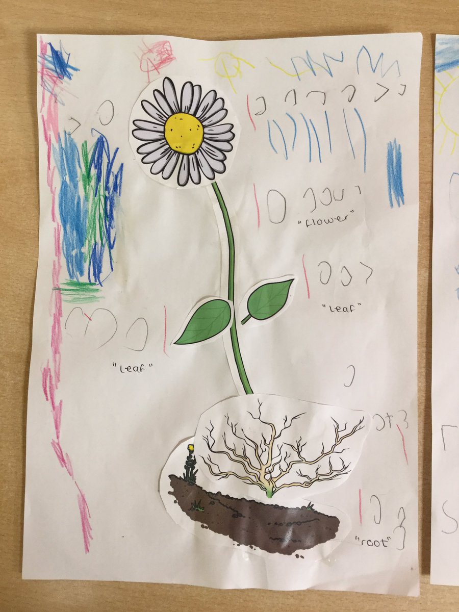 MD_Class1's tweet photo. This week we are learning about plants and flowers we might find in our gardens. The children have been cutting parts of a flower and piecing them together. We then talked about how they grow and named the different parts of them. @MD_MrsThompson #MDWriting #MDScience https://t.co/G77w2UD242