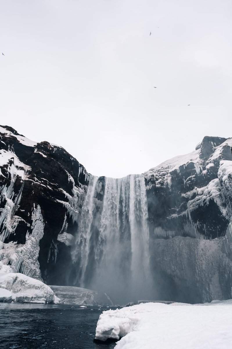 Its Giveaway TIME!

Lets spread the Giveaway! 

How to win?

1. Retweet
2. Like
3. Retweet our pin tweet
4. Tag 3 friends that you miss
5. Type " I miss you fren "

Simple! Winner announce 24 hours from now.

Winner will win!
.
1. Work from <a href="/arilismail/">ⓢⓗⓐⓗⓡⓘⓛ</a> 
2. 0.05 BNB

Purrr